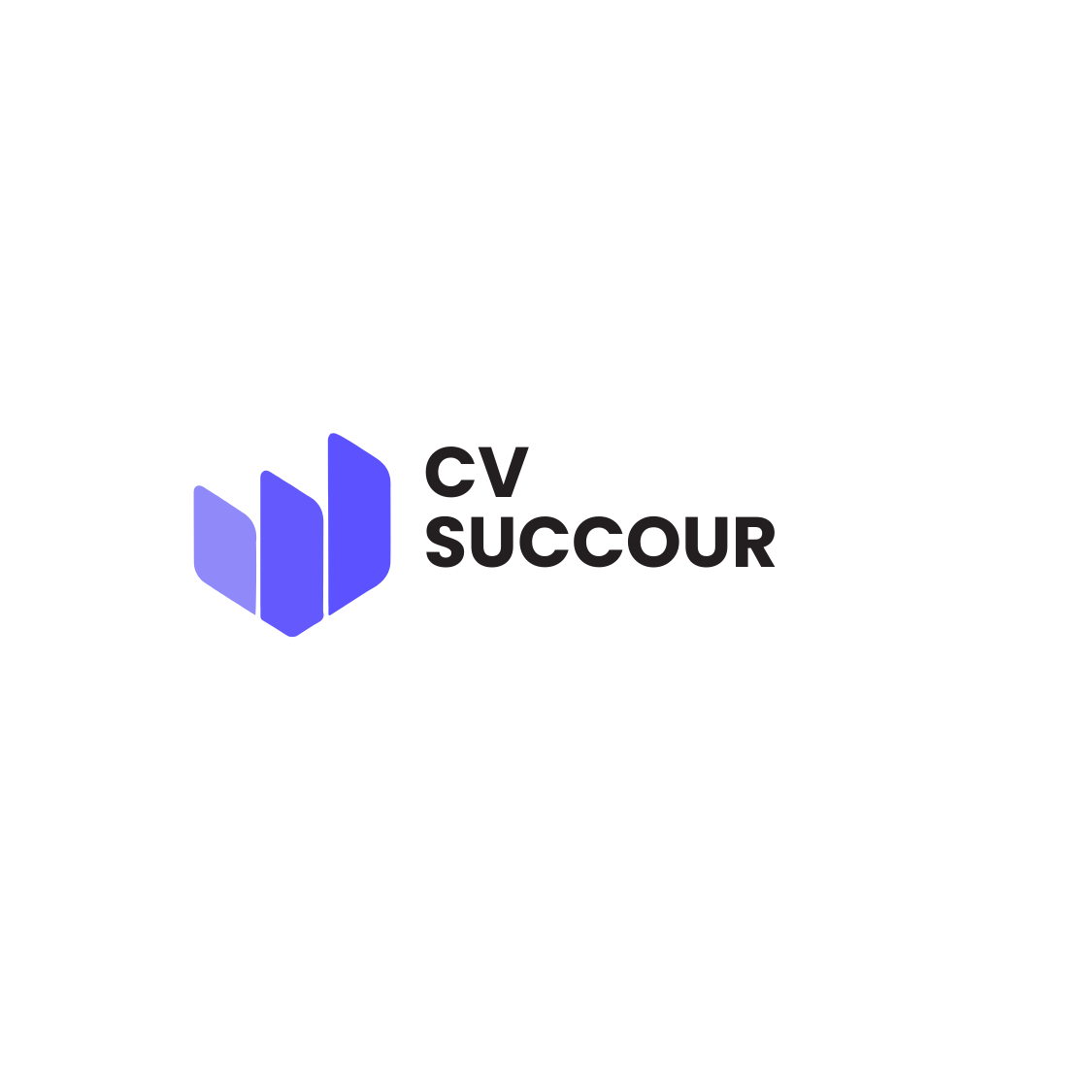 cv succour's logo
